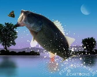 Labrax Striped Bass Morone Saxatilis And White M Chrysops Fit