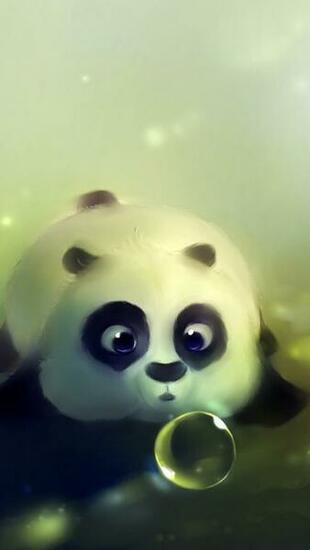 Cute Cartoon Panda iPhone Plus And Wallpaper