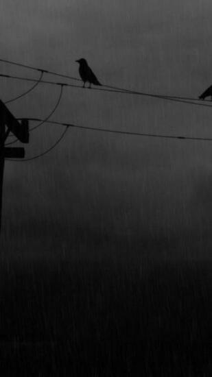 Black And White Sad Gloom Wallpaper