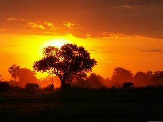 South African Sunset Wallpaper Background