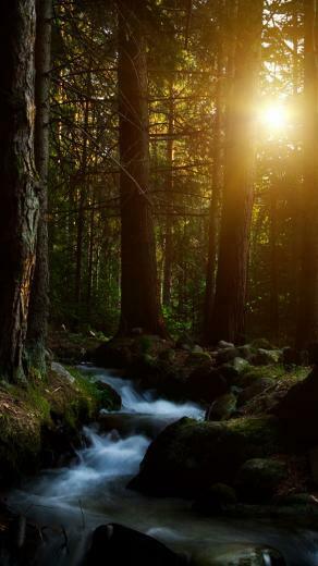 Best iPhone Wallpaper Background In HD Quality And