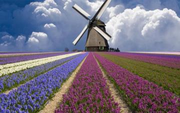 HD Wallpaper Of Nature Netherlands High Quality