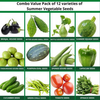 Cybexis Summer Vegetables Seeds Combo Varieties Seed Price In