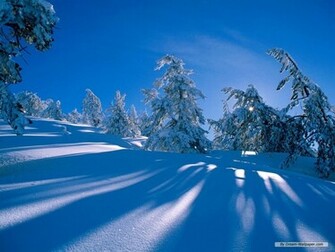 Winter Nature Wallpaper HD In Imageci