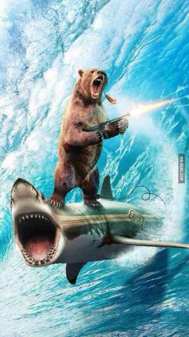 Bear Shark Surfing Throw Blanket Buy Outlet Off Inqmobility