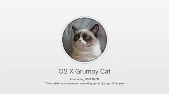 Cat Meme Wallpaper