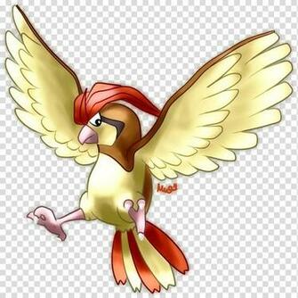 Pok Mon Evolution Pidgey Pidgeotto Chicken Pokemon Pidgeot