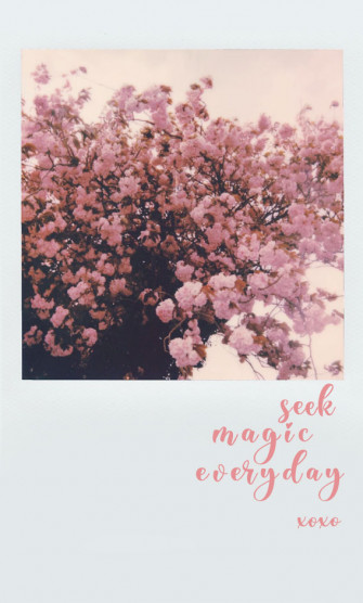 Spring Aesthetic Wallpaper Cute Background For Phone