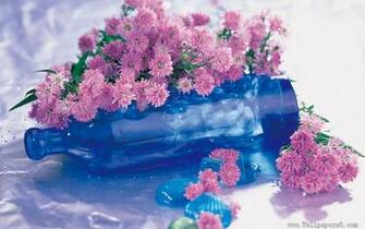 Pink Posy And Blue Winebottle Flower Wallpaper