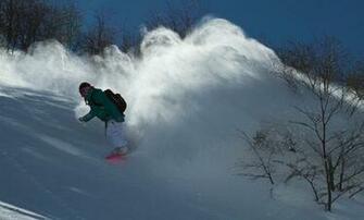 It S Official Jamie Anderson Is On Gnu