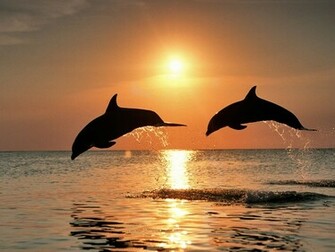 Ocean Sunset Background Wallpaper HD