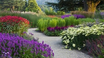 Garden Balsam Flower Park Desktop Background Wallpaper