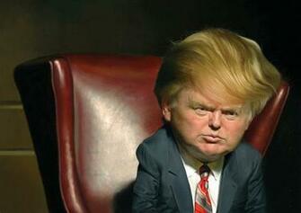 Funny Gallery Donald Trump