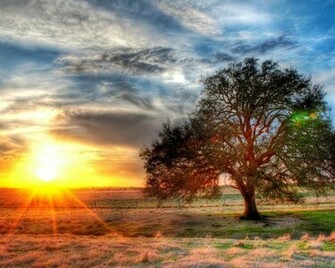 Sunset On A Texas Farm HDr Wallpaper
