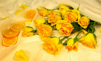 Light Yellow Wallpaper