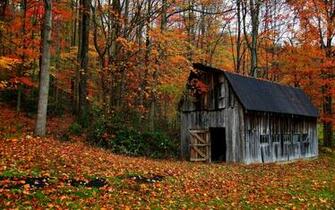 Barn Decay Ruin Retro Autumn Fall Leaves Rustic Wallpaper Background
