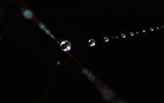 Tears Wallpaper