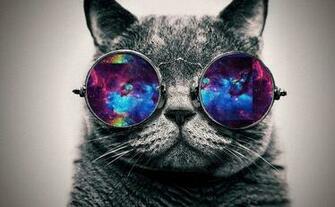 Cat Galaxy Glasses U Go Pinkfloyd Funny Awesome Things