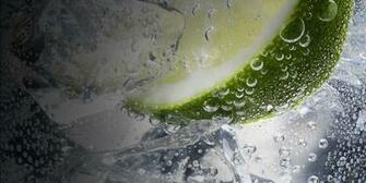 Gin Tasting Masterclasses