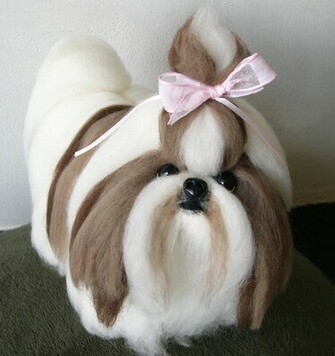 Shih Tzu Dog Wallpaper Pets Cute And Docile