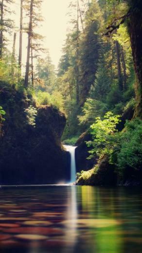 Pine Forest Small Waterfall Lake iPhone Wallpaper Ipod