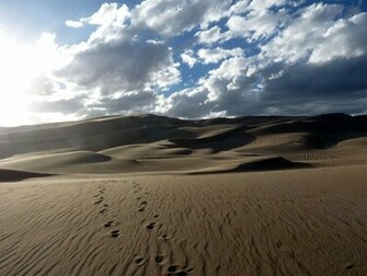 Sand Dunes Wallpaper