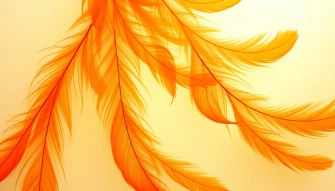 Orange Feather Wallpaper