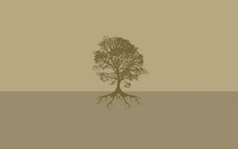 Tree Root Wallpaper X Net