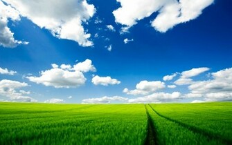 Mobile Wallpaper Feedio Net Nature Computer Pc Background