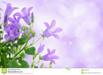 Flower Background Loopele