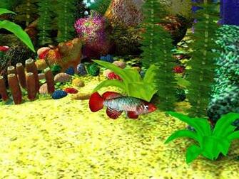 3d Aquarium Screensaver Aqua