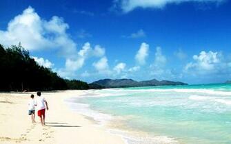 Summer Screensavers And Wallpaper