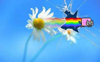Nyan Cat Windows Wallpaper By Jayro Jones Customization