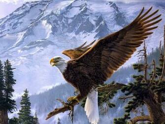 Eagle HD Wallpaper Desktop Pictures One