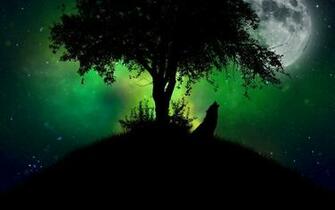 Wolf Background Wallpaper Image Design Trends