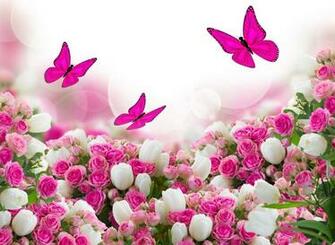 Roses Tulips Leaves Flower Butterfly HD Wallpaper