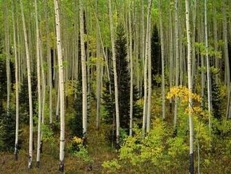 Desktop Wallpaper S Nature Huge Collection Of Amazing