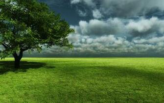 Wallpaper High Definition HD Resolution