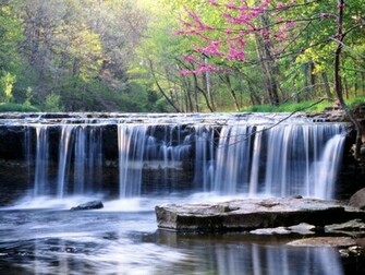 Cool Spring Wallpaper