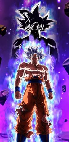 Ernal Res Zakshi On Ultra Instinct Goku