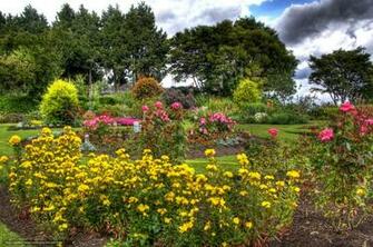 Wallpaper Garden Queen Elizabeth Vancouver
