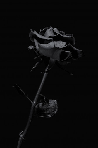 Black iPhone Wallpaper