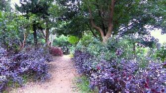 Hiking Trails Wallpaper