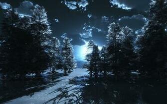 Dark Forest Moon HD Image Wallpaper Moongazer