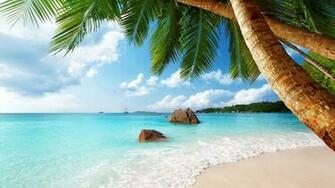 Tropical Palm Trees Beach Landscape Clouds Sea