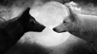 Cool Wallpaper Imagenes