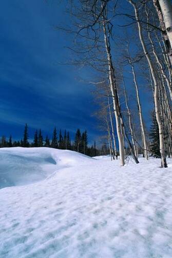 Winter Scenery Desktop Wallpaper High Definition