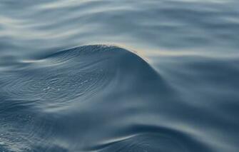 Wallpaper Water Wave The Excitement Image For Desktop Section