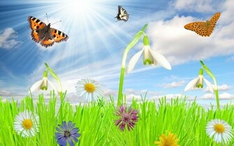Tags Spring Wallpaper Desktop