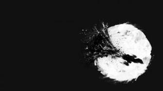 Firefly Computer Wallpaper Desktop Background